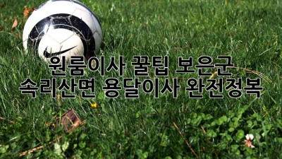 원룸이사 꿀팁🍯 보은군 속리산면 용달이사 완전정복!